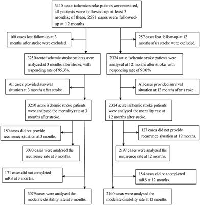 Association of LDL-C/HDL-C Ratio With Stroke Outcomes Within 1 Year After Onset: A Hospital-Based Follow-Up Study